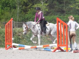 IMG_0542_web